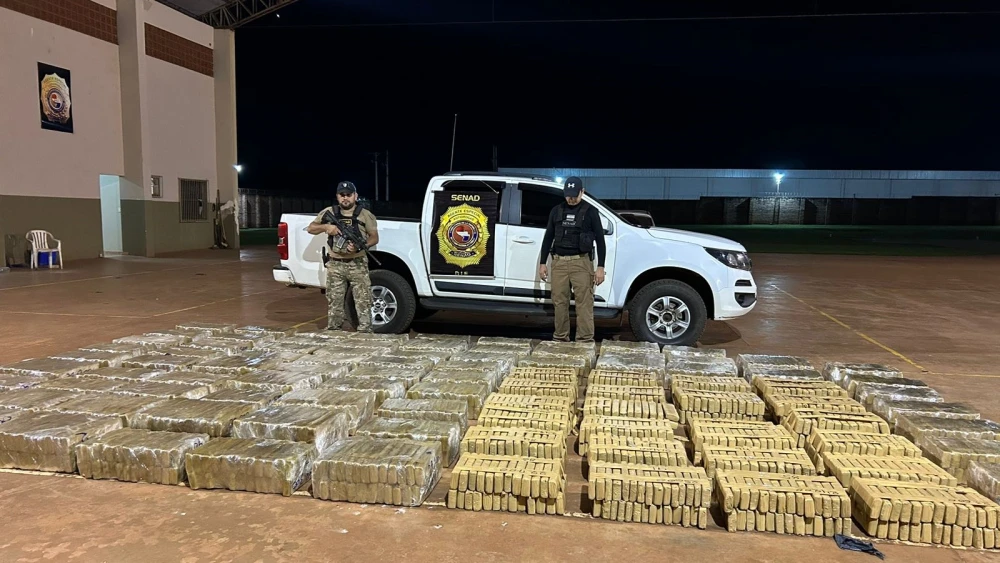 Senad incauta más de cuatro toneladas de marihuana en zona fronteriza