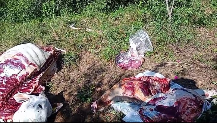 Alarma en la frontera: Aumentan ataques de abigeos armados entre Paraguay y Brasil